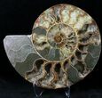 Split Agatized Ammonite - Crystal Pockets #21209-2